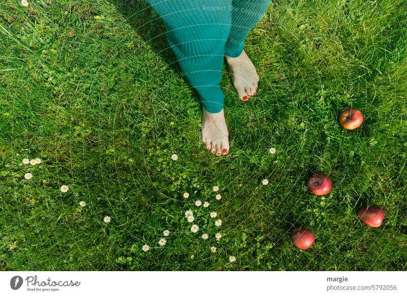 Barefoot through the garden Feet touch Grass flowers Human being Feminine Woman apples daisies Toes feet Nail polish Legs Green Exterior shot Toenail Idyll