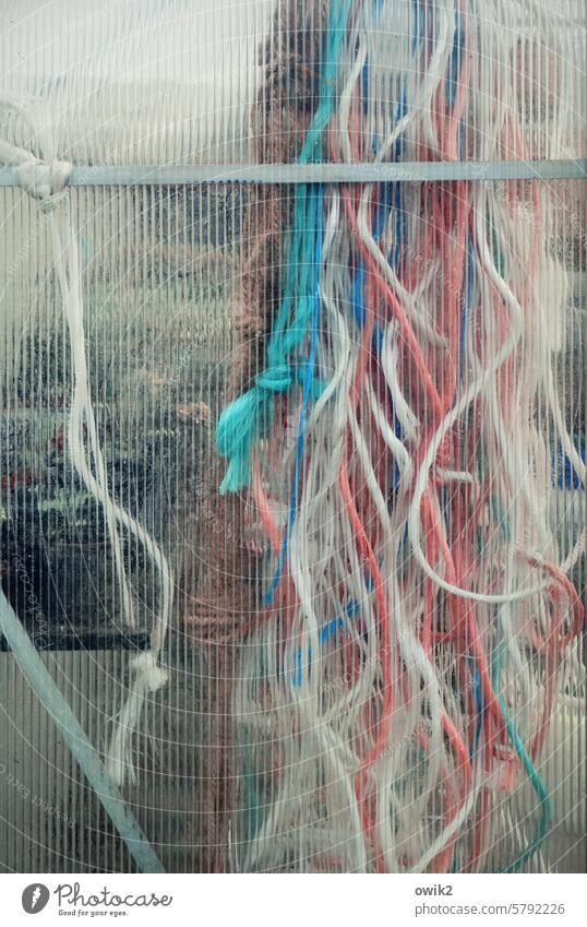 Anthology Ropes Multicoloured hotchpotch tapes Suspended at the same time Supply remnants Plastic ropes White Red Turquoise Muddled confused Glass wall