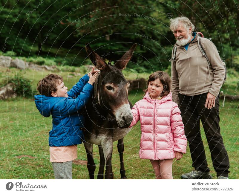 Grandparents and grandchildren enjoy time with a donkey outdoors family leisure grandparents boy girl interaction nature bonding animal grandfather
