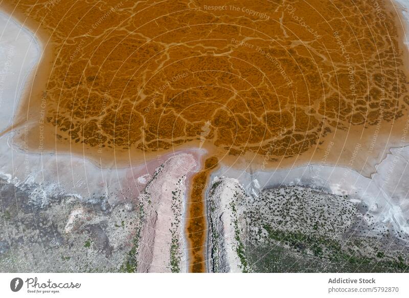 Aerial View of Colorful Salt Lagoons in Toledo aerial view salt lagoon toledo pattern nature artistry colorful texture mineral saline water natural landscape