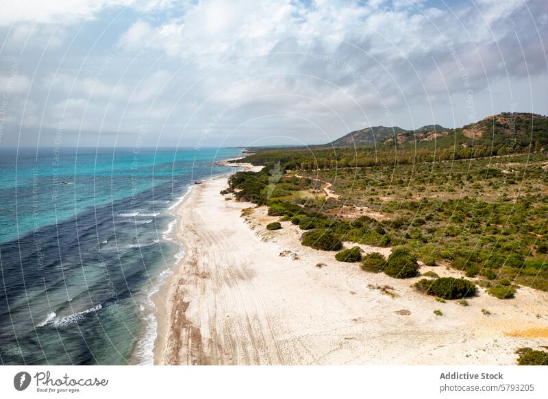 Coastal landscape of Sardinia with clear blue waters sardinia italy beach aerial view coastal sea clear water turquoise mediterranean sand shore serene