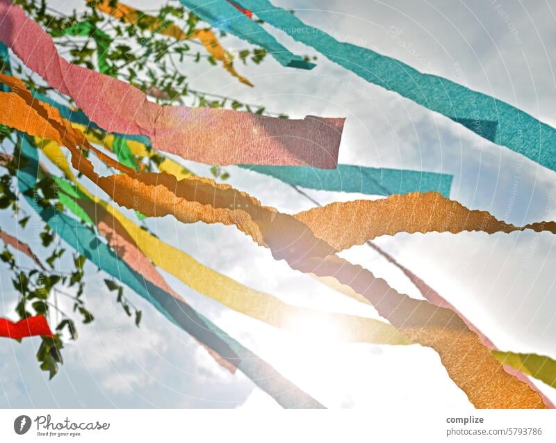 First of May - Maypole, sun & sky Decoration first may May 1st Sun Birch tree Tree May tree Tradition variegated tapes colorful ribbons leaves Sky Love In love