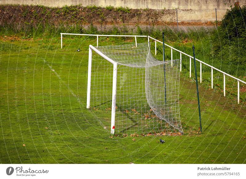 booth Goal Sports amateur sports Net Goal net free time hobby Lawn Green Sunlight Leisure and hobbies Foot ball Athletic Soccer Goal Football pitch