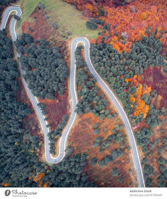 Winding road through autumn colors in Pyrenees aerial view winding foliage pyrenees navarra roncal valley puerto larra-belagua landscape nature travel scenic