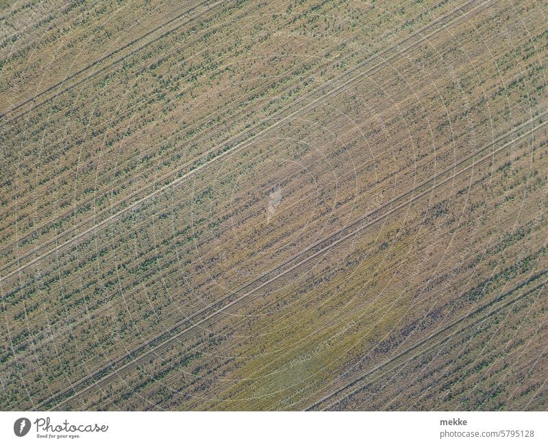 fine pinstripe acre Agriculture Arable land Field Environment Harvest Nature Growth Agricultural crop Nutrition Winter Earth Tracks groove Stripe Pattern Plow
