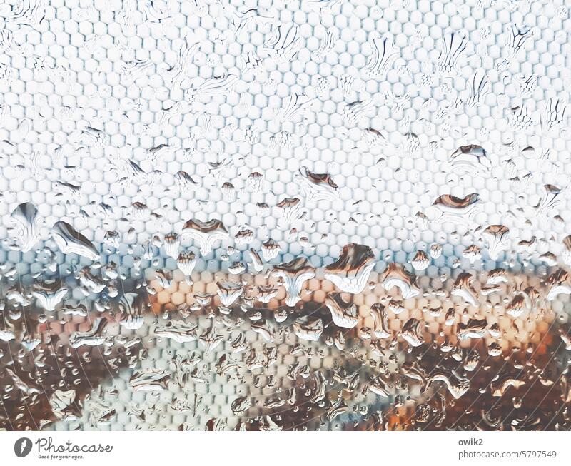 november Distribution water pearls Physics Moistened droplet Interior shot Diffuse View from a window Hazy hazy Weather Water Glass Window Rain Drop Ambience