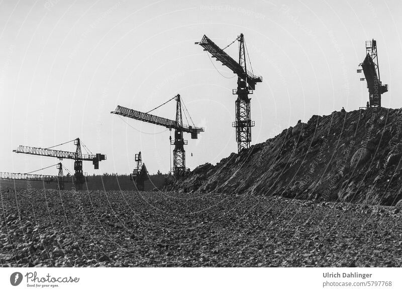 six construction cranes grow out of the field in front of a bright sky Baukraun Black and white photo Build Environmental Destruction Advancement threat