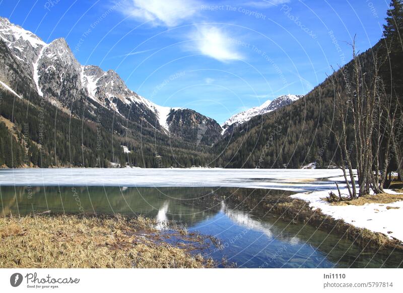 Lake Antholz still half frozen over Spring Nature Landscape Valley Antholzer valley Mountain lake South Tyrol mountain mountains Snowcapped peak timber line
