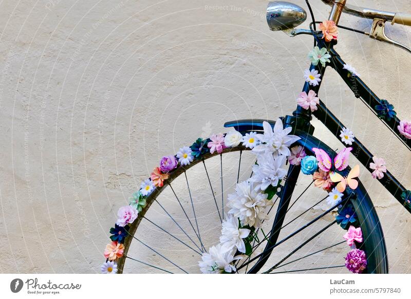 love of cycling Bicycle Wheel Cycling flowers Decoration Jewellery blossoms Blossoming Spokes Bicycle tyre Bicycle light Wall (building) house wall Mobility