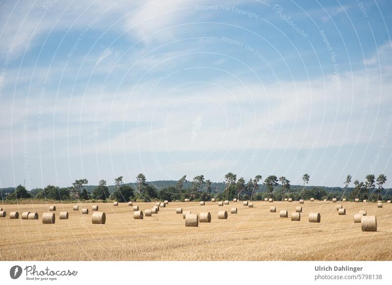 harvested field with rolled Steoballen.in the background forest and a slight hill.2/3 of the picture blue sky with veil clouds Landscape Agriculture Harvest