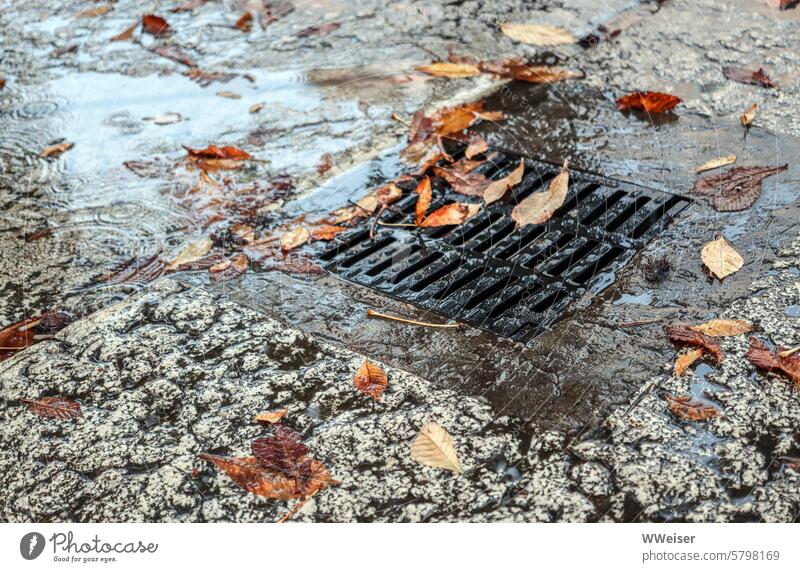 It is raining in the old Italian town. Autumn leaves gather picturesquely along the drain Rain Weather Town Street Ground Under Wet Damp Puddles Italy vacation