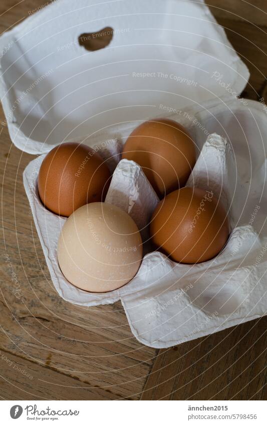 A white egg carton with three brown and one light-colored egg fowls Egg eggs Nature Eggs cardboard self-catering Garden fortunate Happy amass Eating