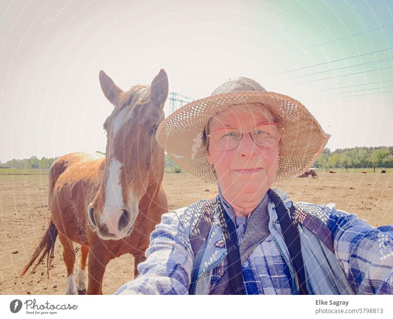 Portrait of a woman in a paddock with a horse in the background portrait Woman Face Horse Nature Head Meadow Mammal Eyes Animal Rural Outdoors Willow tree Brown