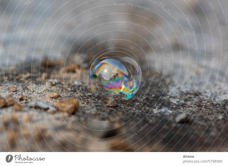captured moment | karlsruhelos Ground Air bubble Transparent Neutral Background Sphere colored colourful Reflection Delicate transient Transience Soap bubble