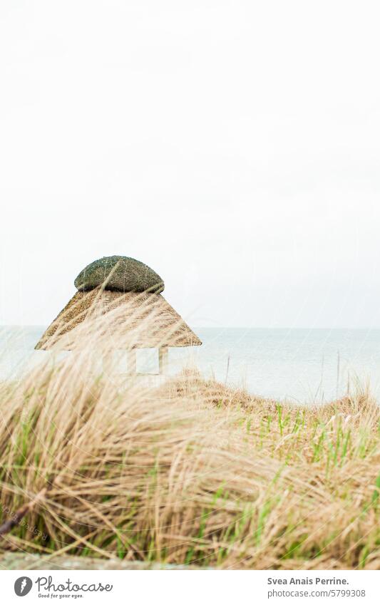 Thatched roof on the beach Reet roof Beach Beach dune Ocean Baltic Sea Baltic coast Vacation & Travel Sky grasses Landscape Nature Relaxation Water Tourism