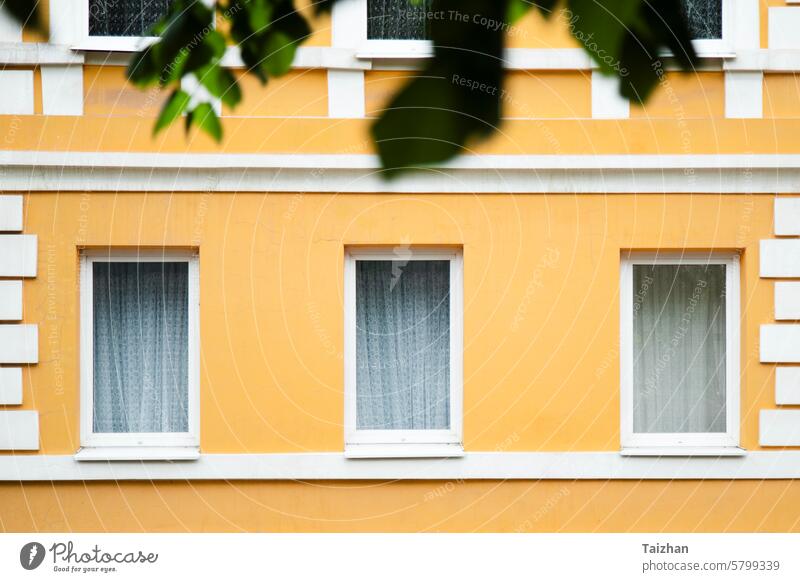 Decorated yellow wall with windows in white frames abstract aged architectural architecture background building classic classical closed concrete construction