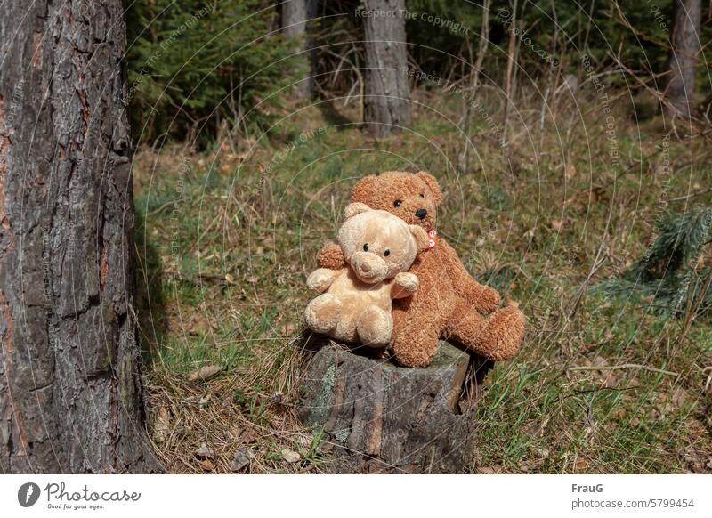 we are not alone | everything will be fine Forest Grass tree trunks Tree stump teddy's two at the same time Sit Embrace Teddy bears cuddly toys Nature Deserted
