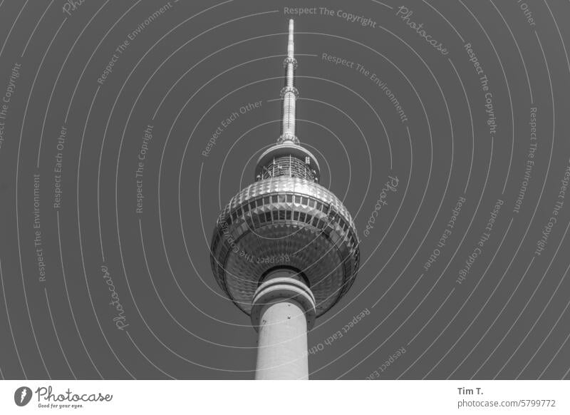 Television tower black and white Berlin b/w Middle Town Downtown Exterior shot Capital city Day Architecture Deserted Manmade structures Building