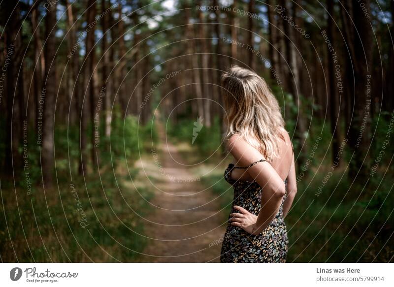 A gorgeous blonde girl in a light summer dress is walking along this forest pathway on a perfect summer day. Surrounded by the beauty of nature. In Nida, Lithuania.