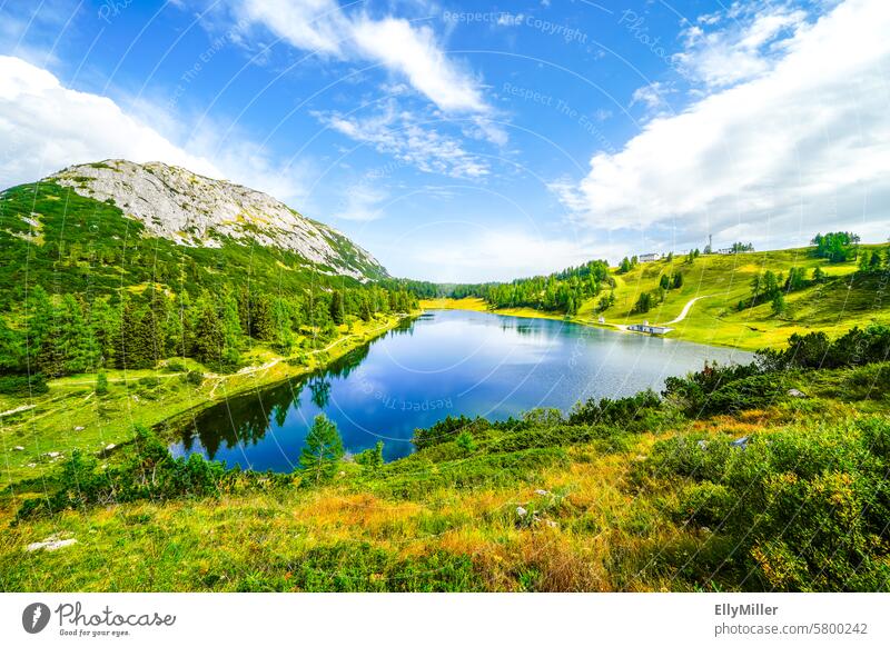 Landscape at the Großsee on the Tauplitzalm. Nature in Styria. Great Lake mountain lake Austria mountains Mountain Federal State of Styria Idyll tranquillity