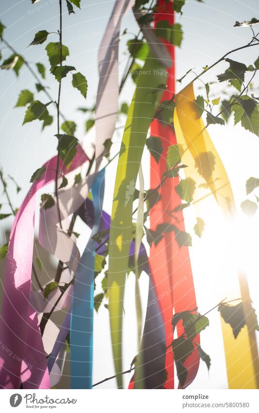 First of May - Maypole, sun & sky Decoration first may May 1st Sun Birch tree Tree May tree Tradition variegated tapes colorful ribbons leaves Sky Love In love