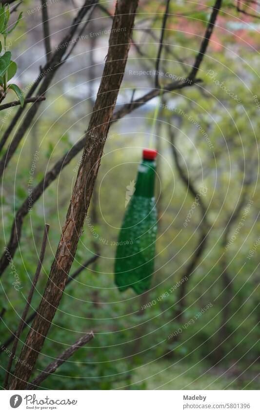 Green glass bottle with red cap in a beautiful design hanging from a tree in Letna Park on the Vltava River in Prague in the Czech Republic Communism Socialism