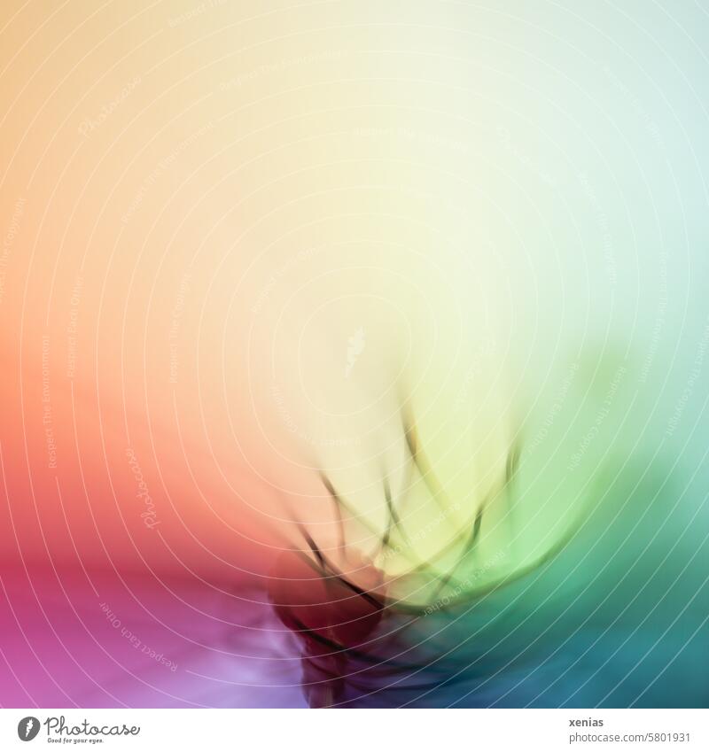 Sound painting - colorful play of colors with blurring Colour variegated colourful Play of colours Abstract Colour palette Yellow Green Pink Red Multicoloured