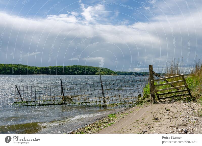 There is no getting through here Water Surface of water Fence Nature Landscape Environment Sky Clouds Clouds in the sky Blue Green Sand Sandy beach