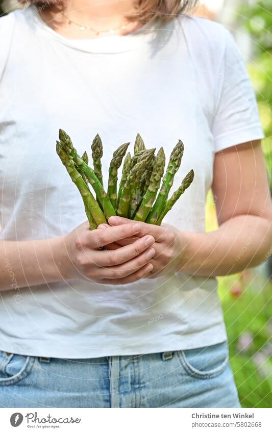 a young woman holds a bunch of green asparagus in her hands Asparagus Vegetable Food Nutrition asparagus spears Asparagus season asparagus season