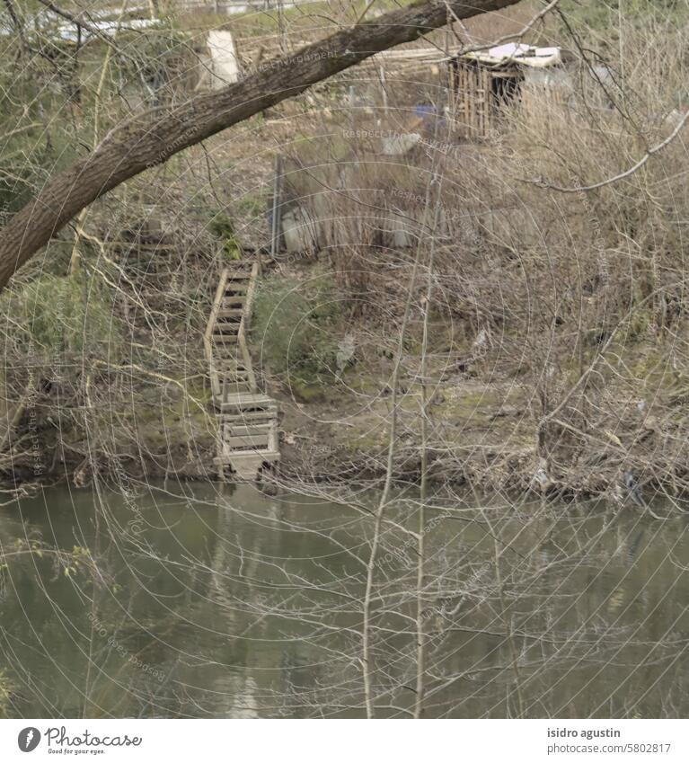 old wooden stairs to go down to the river staircase forest outdoors climb leaf structure nature walk sunny shadow abandoned alone desolate dry plant water