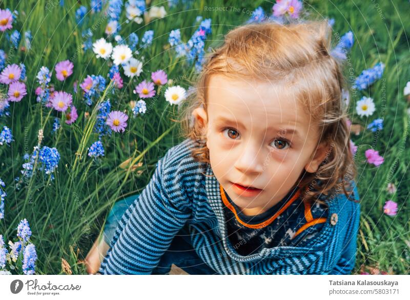 Little blond long-haired boy sitting in a meadow among daisies and other wildflowers and looking at camera little long hair grass nature green cute childhood
