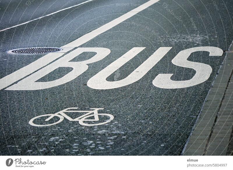 Asphalt road with a BUS / bicycle lane demarcated by lettering and pictogram wheel track cycle path bus lane Street Ride a bike! Cycling Pictogram Road traffic