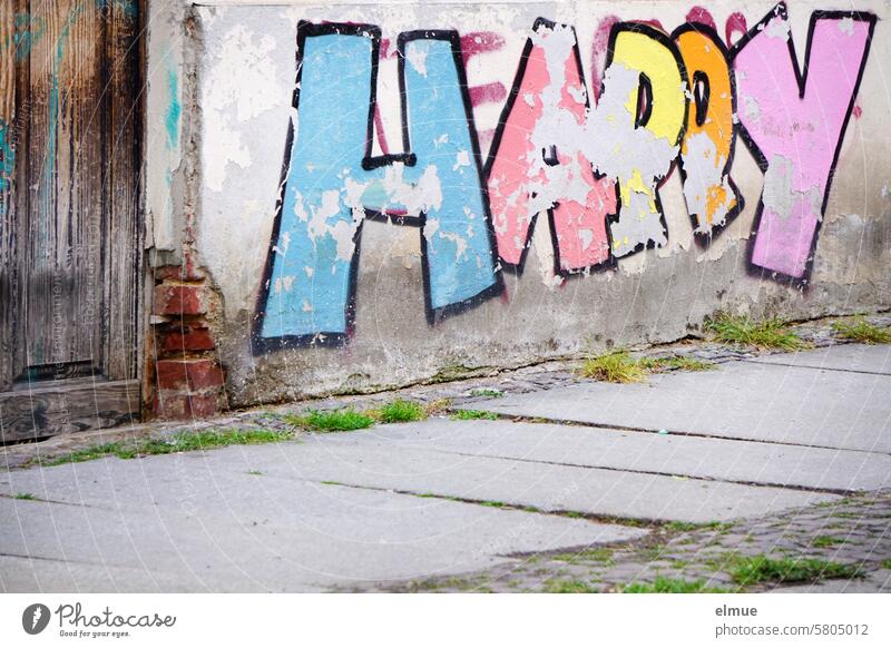 HAPPY is written in large, colorful letters on a dilapidated house wall happy Graffiti fortunate contented glad cheerful Funny amused variegated sensation