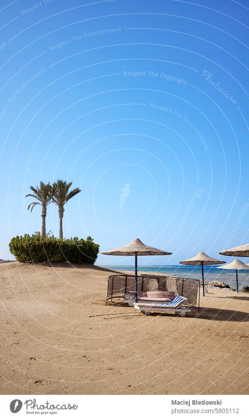 Beautiful sandy beach with sun loungers and umbrellas, Marsa Alam region, Egypt vacation summer travel sea unwind getaway water holiday relax resort tropical