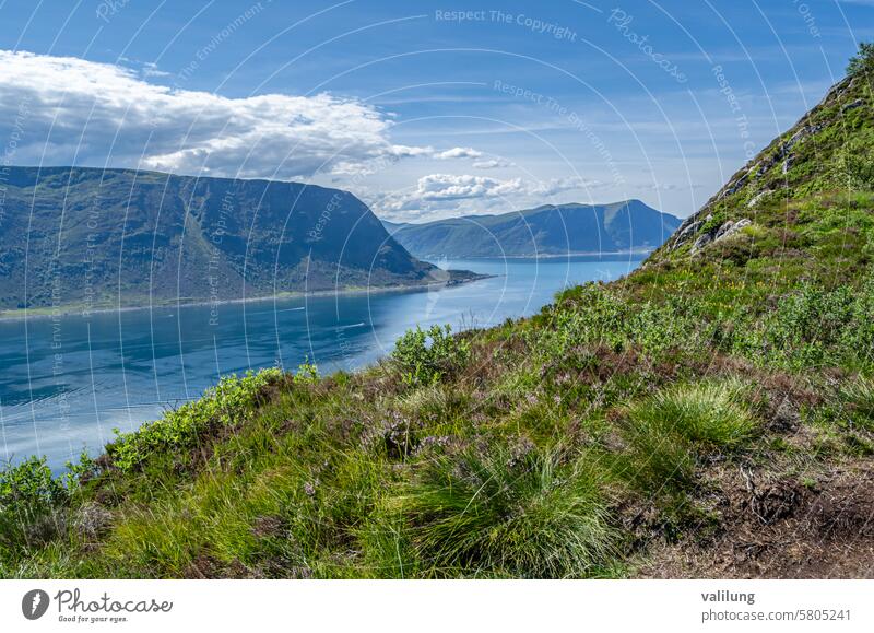 Landscape in Alesund, Norway Europe More og Romsdal More og Romsdal County Scandinavia beautiful fjord landscape mountain nature norwegian old outdoor scenery