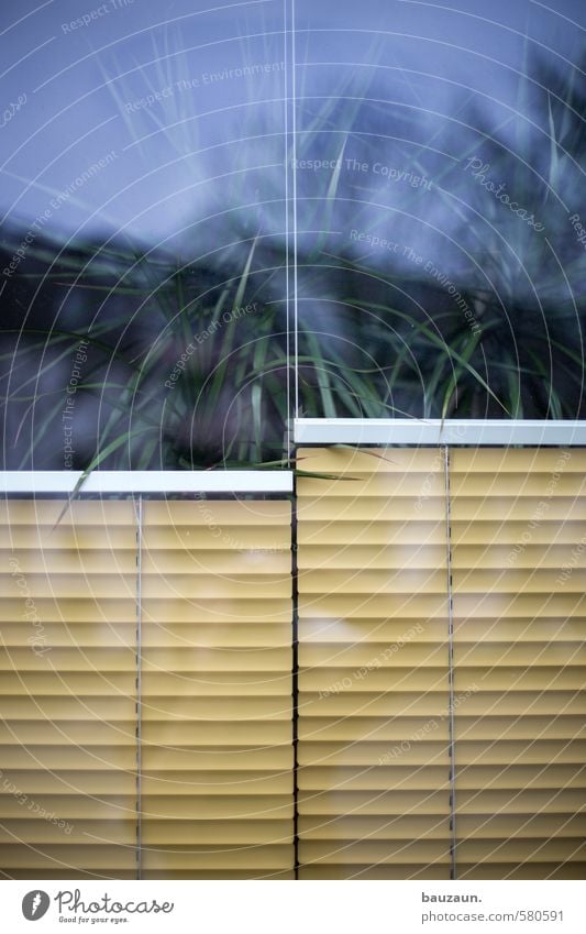 You split it in two. Interior design Decoration Plant Foliage plant Pot plant Exotic Palm tree Facade Window Venetian blinds Screening Weather protection Glass