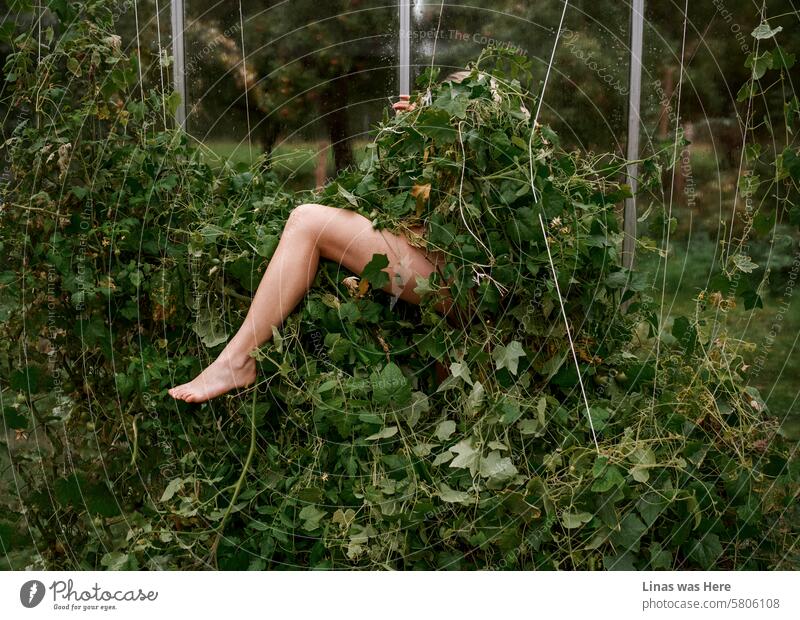 A gorgeous girl, with only her pretty long legs visible, is fighting against some green plants in a greenhouse. Surrounded by nature's greenery, she creates this odd scene. It's not easy being green, but it's necessary.