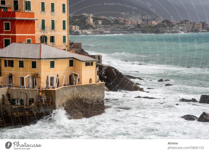 and the waves roar forever Genua Boccadasse Fishing village Panorama (View) Ligurian coast Slope Vacation & Travel spring Spring storms Mediterranean sea Ocean