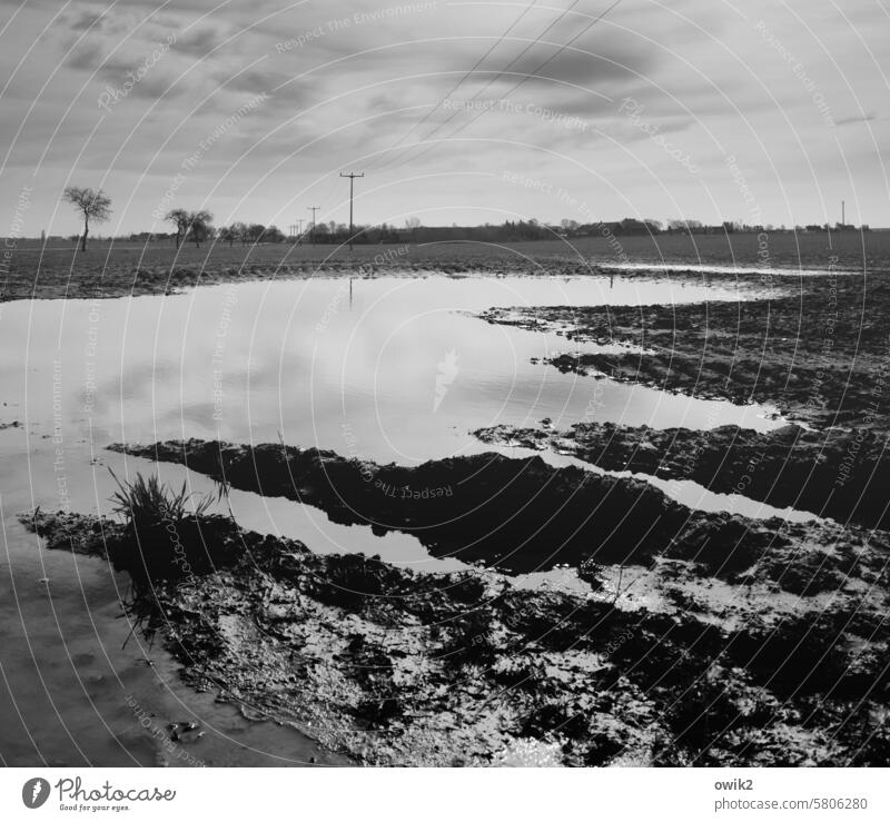 fjord landscape acre Puddle Large furrows Mud Wet rainwater Exterior shot Weather Reflection Dirty Water Horizon lowland Fläming Teltow-Fläming district