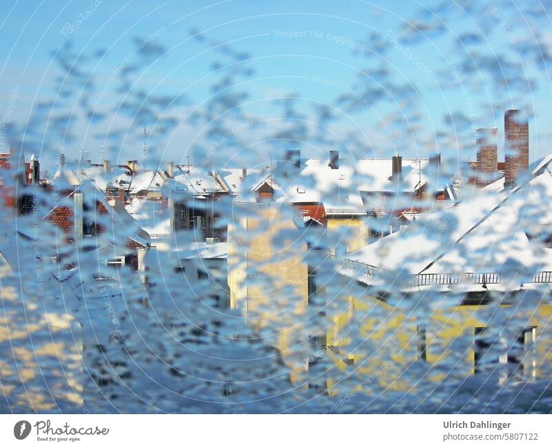 View through an icy window onto snow-covered rooftops with a blue sky Winter houses Town Ice Snow Heat Freeze Winter mood chill White Weather Frost