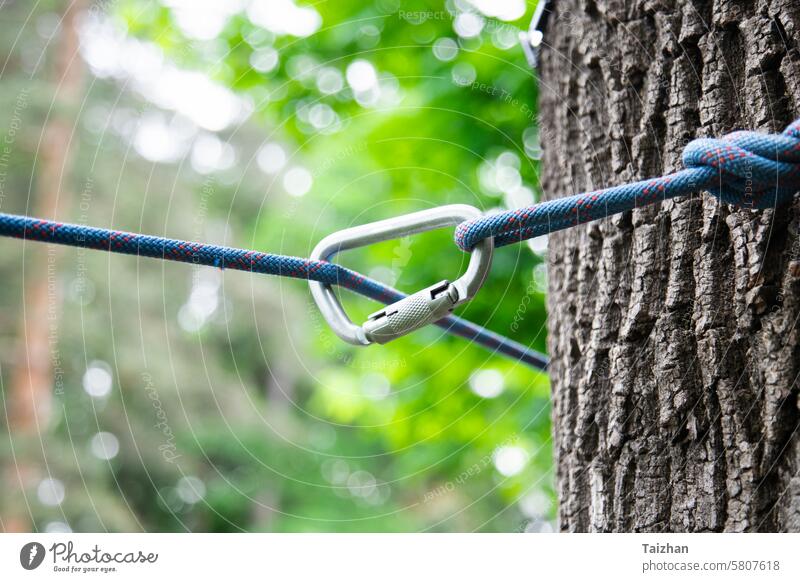Climbing rope with carabiner attached to a tree achievement active lifestyle adrenaline adventure assistance athlete care challenge climbing close-up clothing