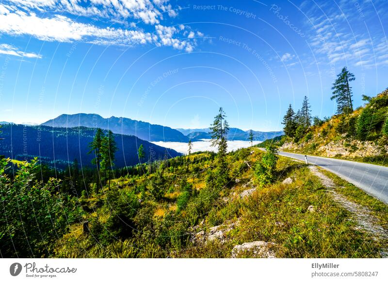 Tauplitzalm in the morning. Panoramic road. Styria Austria Landscape Nature mountains Alpine pasture panorama Clouds Federal State of Styria Beautiful weather