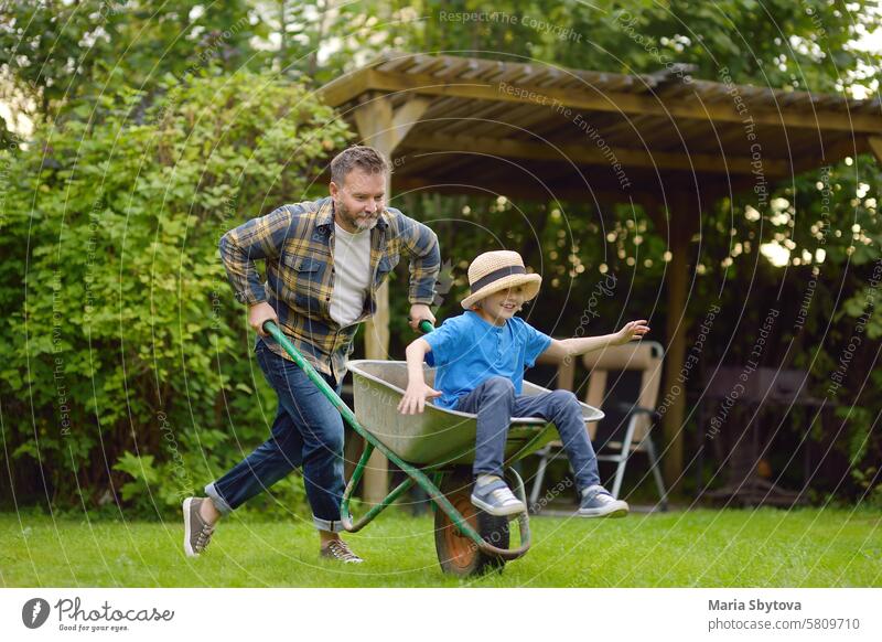 Wheelbarrow pushing by dad in domestic garden on warm sunny day. Active outdoors games for family with kids in the backyard wheelbarrow fun child work father