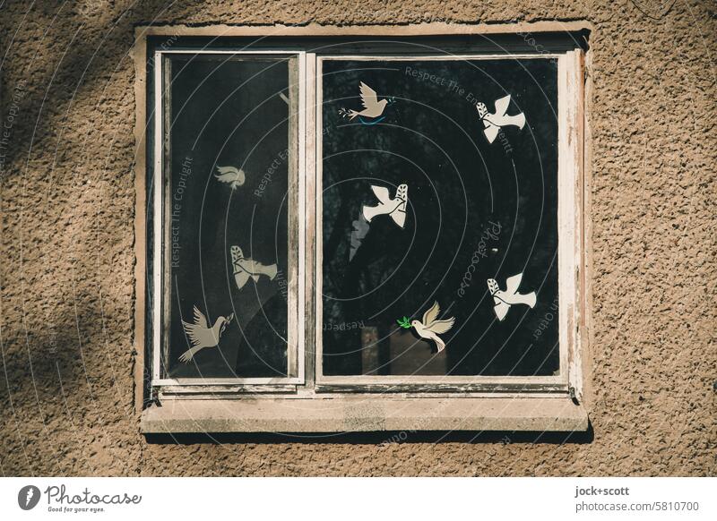 Everything will be fine | Window with many doves of peace Dove of peace Symbols and metaphors Peace Wish Old Weathered Solidarity Hope make a mark Facade