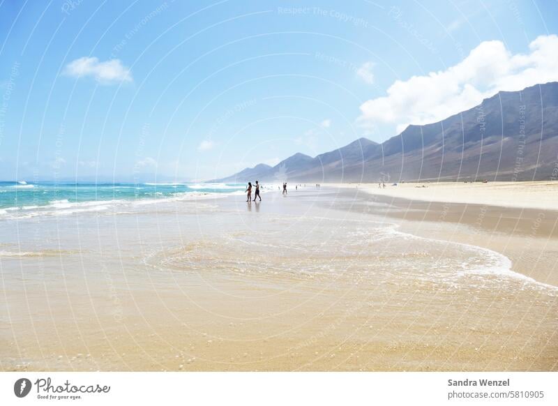 Cofete, Fuerteventura Summer vacation Beach nature conservation Sandy beach Primordial Canaries Sun Ocean Loneliness Tourism Deserted caribbean feeling