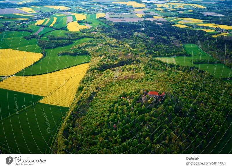 Old fortress surrounded by green forest, aerial view. Grodziec Castle, Poland medieval field landmark spring landscape valley greenery historic countryside