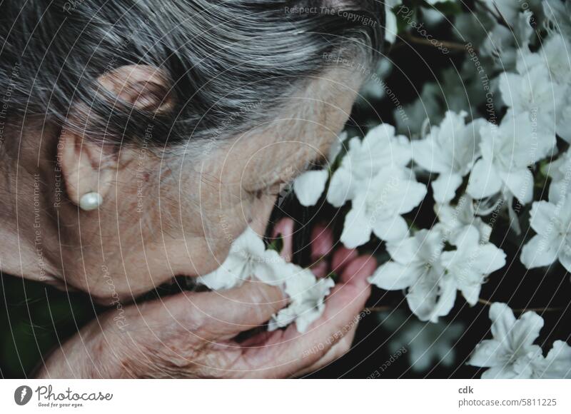 The magic and fragrance of a life lived to the full. Senior citizen elderly lady Woman Human being twilight years Retirement age Mature Grandmother Face