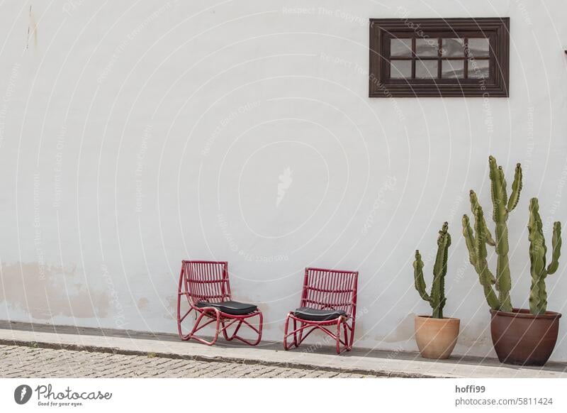 Shady spot with chairs and cacti in front of a white wall two Lunch hour Siesta two chairs 2 Empty Seating Chair Deserted Furniture Break take a break