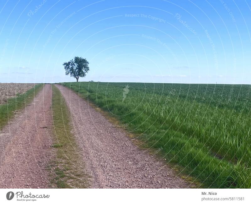 proverbial | the journey is the reward Lanes & trails Landscape off Footpath Right ahead Field Blue sky acre off the beaten track Gravel road Gravel path Dusty