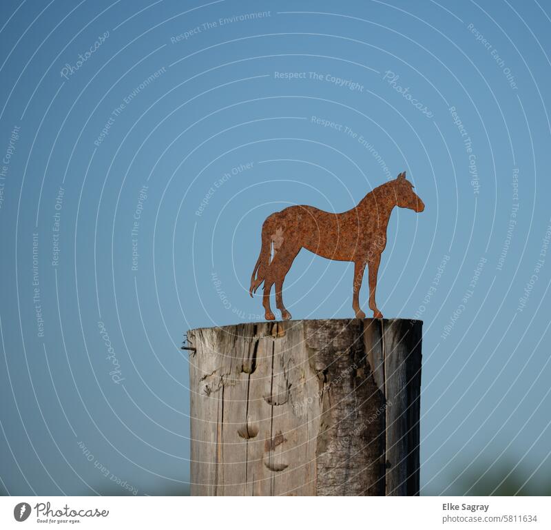Rusty, brown metal horse on a pole against a blue background Metal horse stake Exterior shot Deserted Landscape Nature Colour photo Sky Brown Ocean Day Wood